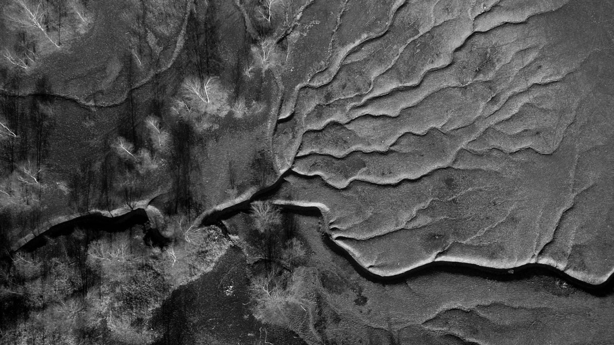 Ode to a Bastard Countryside