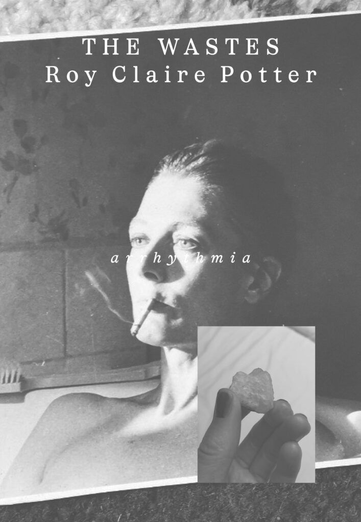The Wastes – Roy Claire Potter