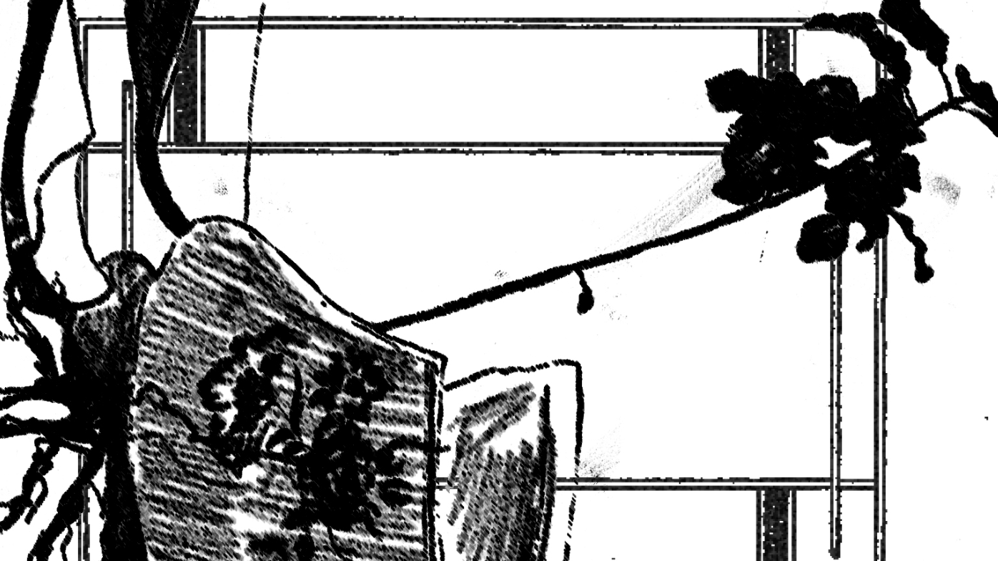 The Gift of the McCaffreys